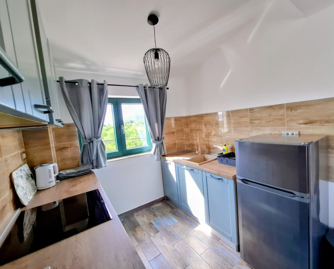 two sea stars, MATI VELEBITA  Seline