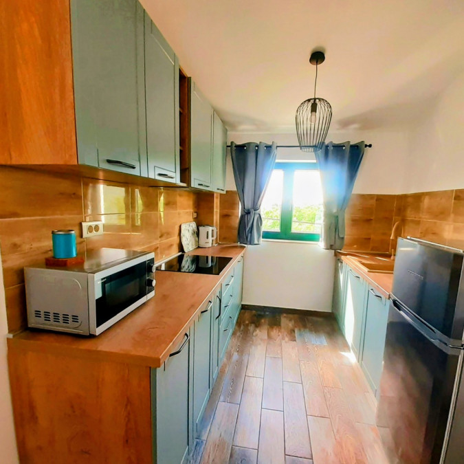 two sea stars, MATI VELEBITA  Seline