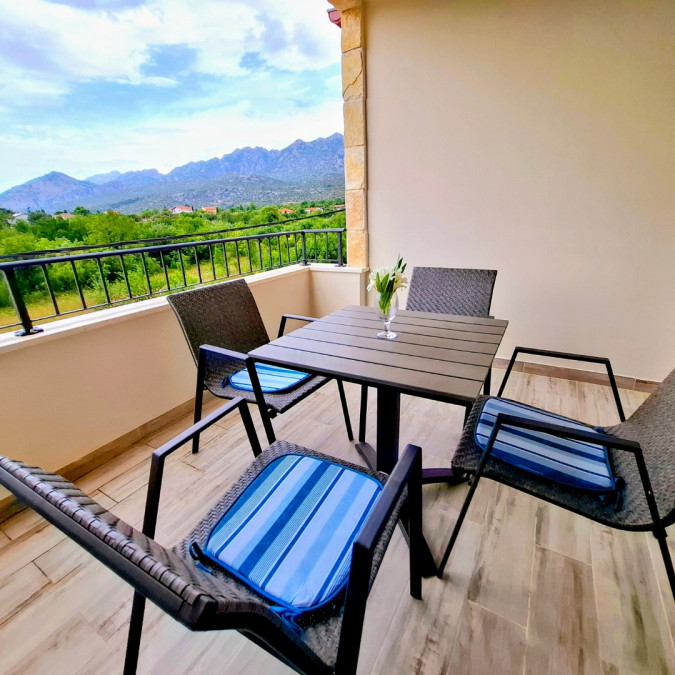 two sea stars, MATI VELEBITA  Seline