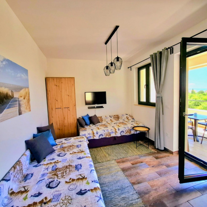 two sea stars, MATI VELEBITA  Seline