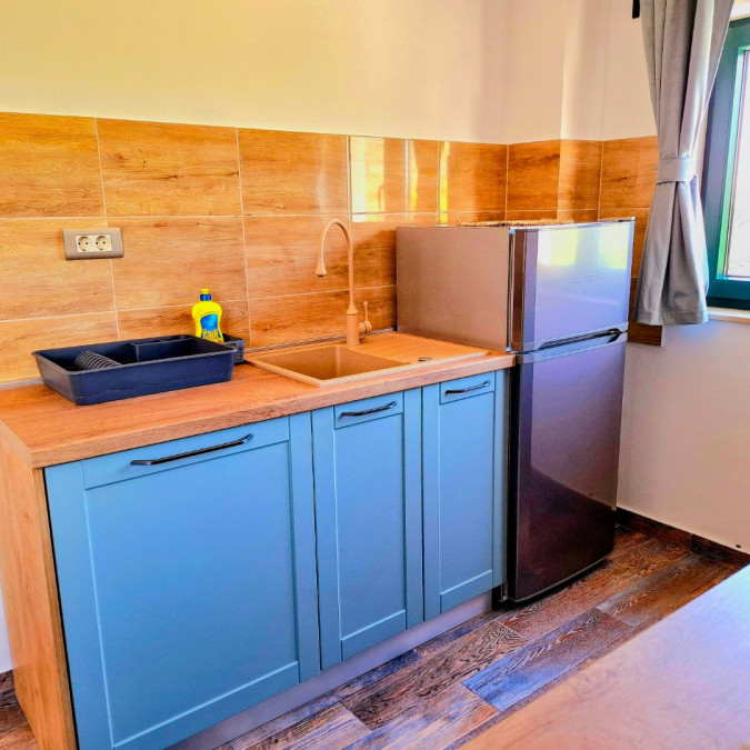 two sea stars, MATI VELEBITA  Seline