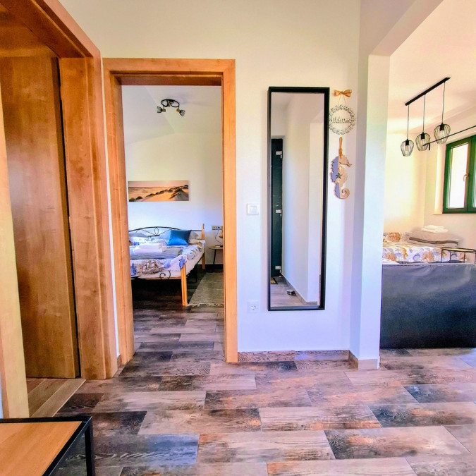 two sea stars, MATI VELEBITA  Seline