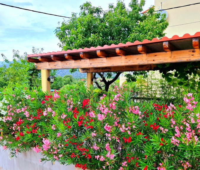 location, MATI VELEBITA  Seline