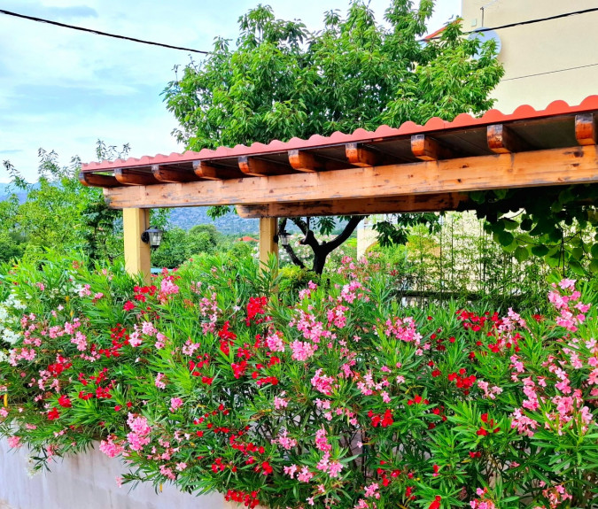 location, MATI VELEBITA  Seline