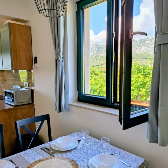 two sea stars, MATI VELEBITA  Seline