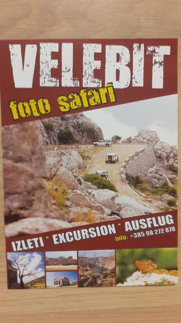 location, MATI VELEBITA  Seline