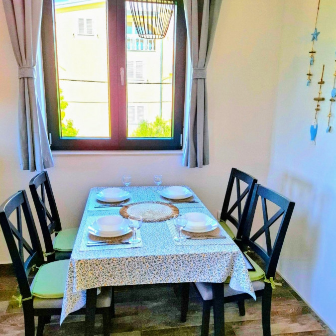 two sea stars, MATI VELEBITA  Seline