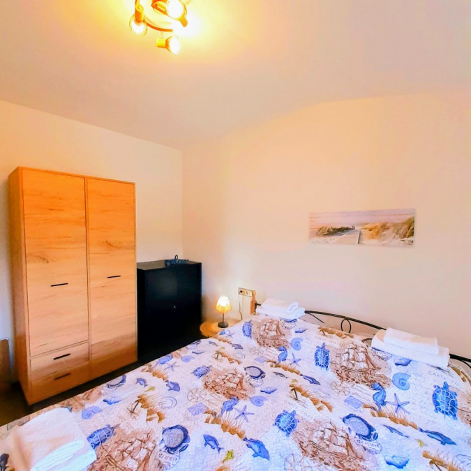 two sea stars, MATI VELEBITA  Seline